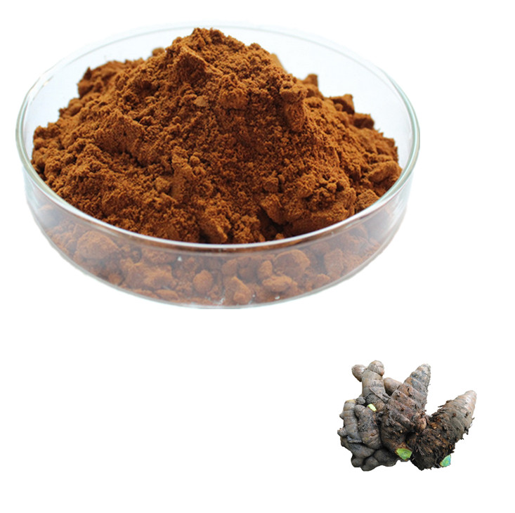 Black Ginger Extract Benefits Hefei Dielegance Biotechnology Co., Ltd.