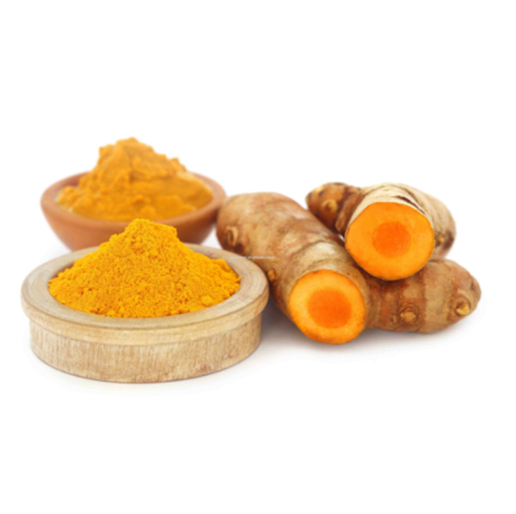 Source Turmeric Extract Bulk Wholesale Turmeric Root Extract Supplier