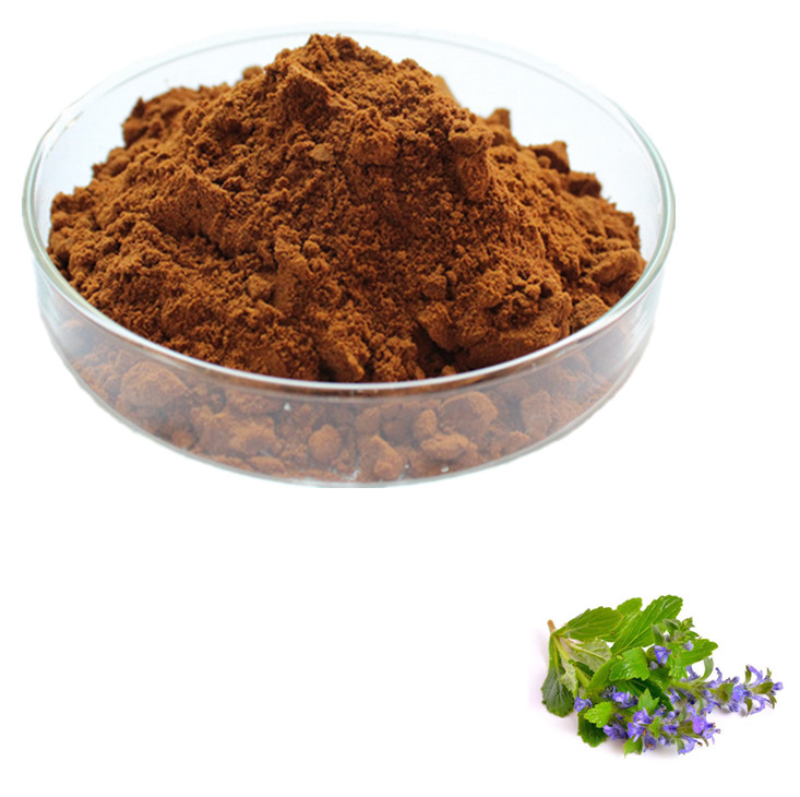 What Is Turkesterone Ajuga Turkestanica Extract what-is-turkesterone-ajuga-turkestanica-extract