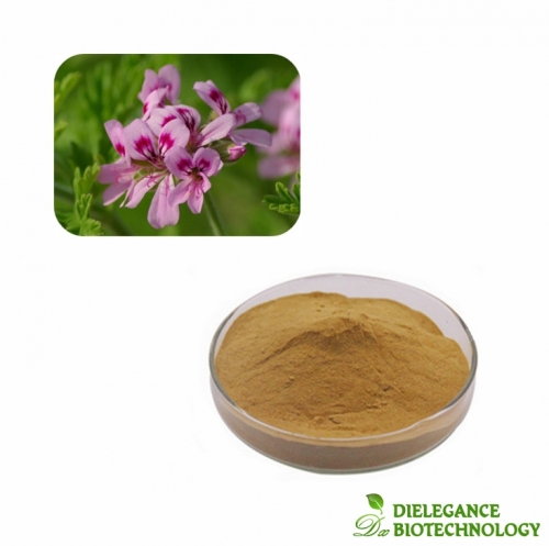 Premium Geranium Extract Powder | Natural Plant Extract for Cosmetics ...